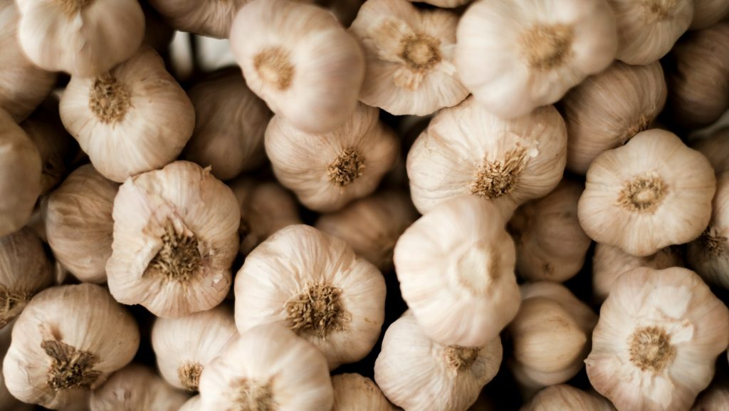 Fresh garlic bulbs